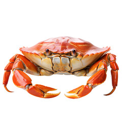 red crab ; isolated on a transparent background