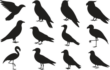 Naklejka premium Bird Silhouette Vector Set – Flying, Standing, Perched Bird Shapes Collection