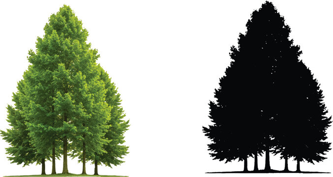  characterized by its lush green leaves, which symbolize , growth, and the beauty of nature. This tree likely represents health, abundance, and the flourishing aspects of the environment.