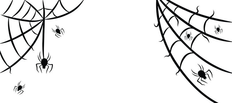 Halloween spider web and spiders isolated on white background. Black spider and torn web. Scary spiderweb.