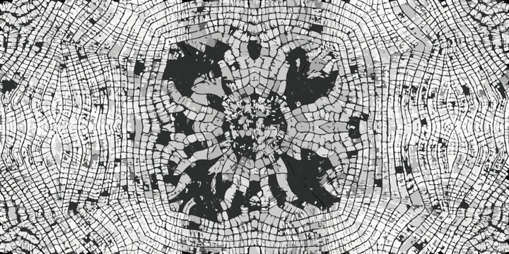 Abstract symmetrical black and white pattern resembling a fossilized cell structure or organic texture