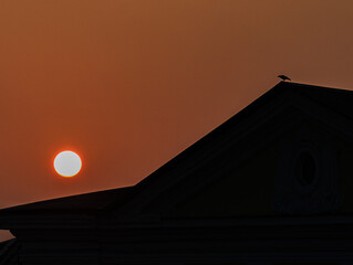 A raven sits on the roof ridge of a building and looks down at the sun rising in the fog.