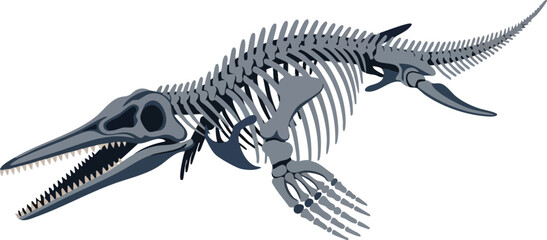 Ancient Marine Reptile Skeleton Illustration for Educational Purposes