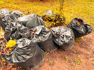 bags full of dry leaves in the park.autumn days