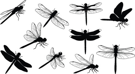 Illustration of collection of dragonfly silhouettes isolated on set of insect silhouettes vector illustration of flying dragonflies dragonfly silhouette set © LILUFA