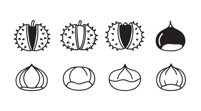 Collection of chestnut and conker illustrations in a simple silhouette style