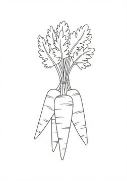 Naklejki a bunch of carrots sketch 