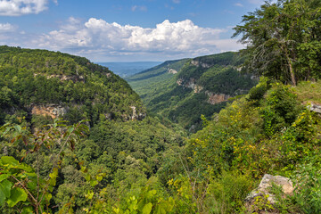 Cloudland-Canyon