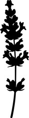 Elegant black silhouette of a blooming lavender sprig, perfect for natural wellness and botanical design projects