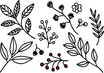 Botanical doodle elements set with leaves, berries, and flower outline