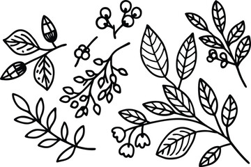 Hand-drawn botanical branch illustrations with leaves and berries