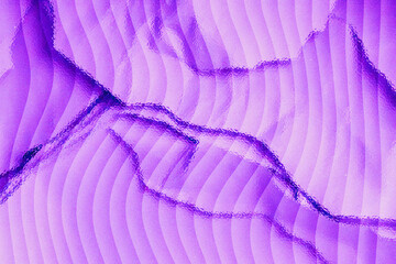 Abstract purple banana leaf texture background with curved lines pattern