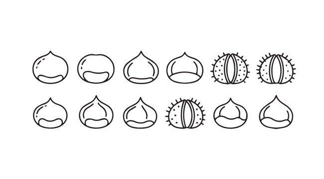 Collection of hand drawn chestnut and seed silhouettes in outline style