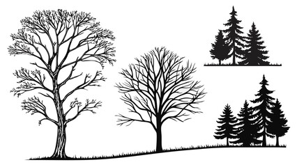 Obraz premium Illustration of bare trees and evergreen trees in a forest landscape silhouette against white background vreated with genrated ai