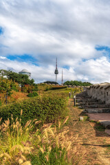 Seoul Namsan Baekbeom Square Autumn