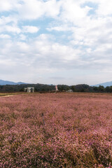 Goseokjeong Flower Garden