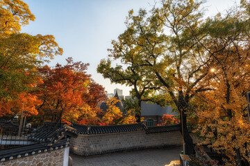 Deoksugung Doldam Gil Autumn Foliage