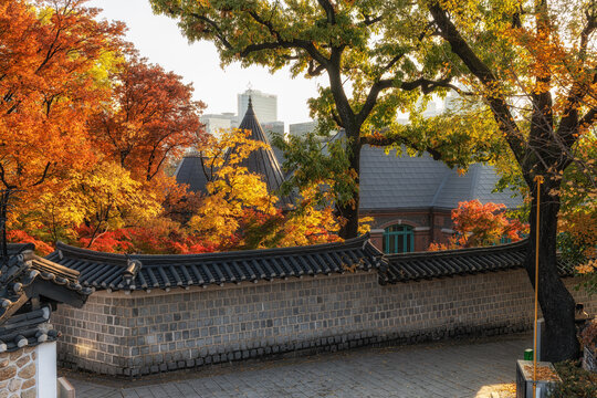 Deoksugung Doldam Gil Autumn Foliage