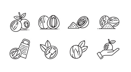 Collection of nutmeg icons in a simple line art silhouette style