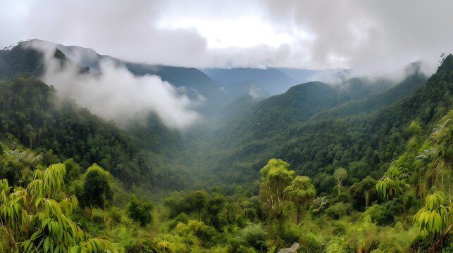 Misty mountain range enveloped in lush green forest canopy, a scenic landscape