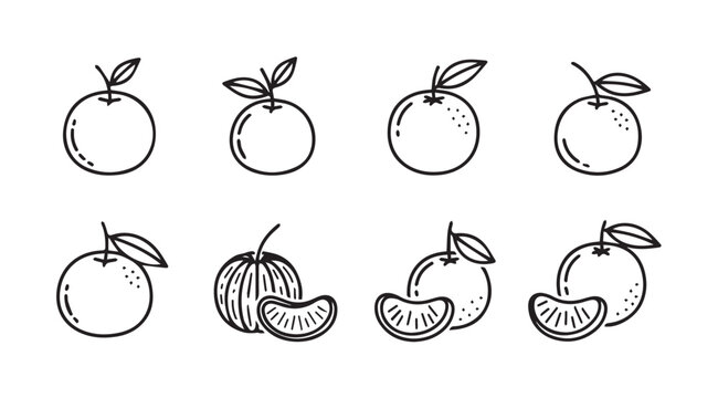 Collection of hand drawn orange and citrus fruit silhouettes with leaves