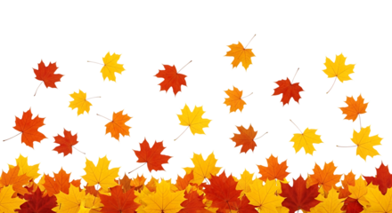 Autumn leaves falling in a gentle breeze isolated on transparent background