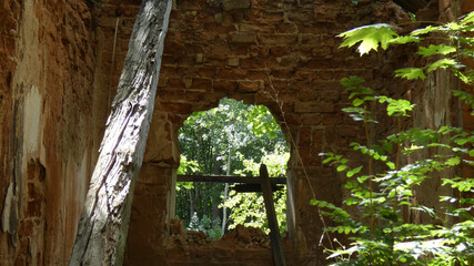 Naklejka premium Abandoned building with broken wall revealing lush greenery in a quiet forest