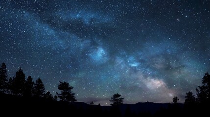 Fototapeta premium Milky Way and Silhouetted Trees Under a Starry Night Sky Landscape