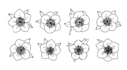 Collection of delicate hand drawn floral illustrations in a sketchy silhouette style