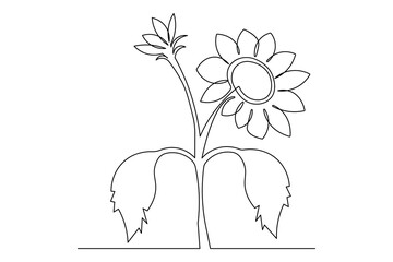 Elegant sunflower one line illustration in simple minimalist form