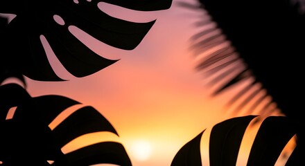 Abstract close up of tropical leaves against a warm sunset gradient background