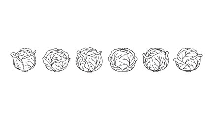 Six detailed hand drawn botanical silhouettes of cabbage heads silhouette