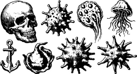 Skull and jellyfish in vintage style. Black and white marine vector illustration featuring detailed outlines in a unique set.