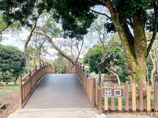 A scenic view of Dakeng Trail No.1 featuring lush forest pathways, wooden pavilions, and peaceful hiking routes surrounded by natural greenery. The environment highlights Taiwan’s mountain landscape w