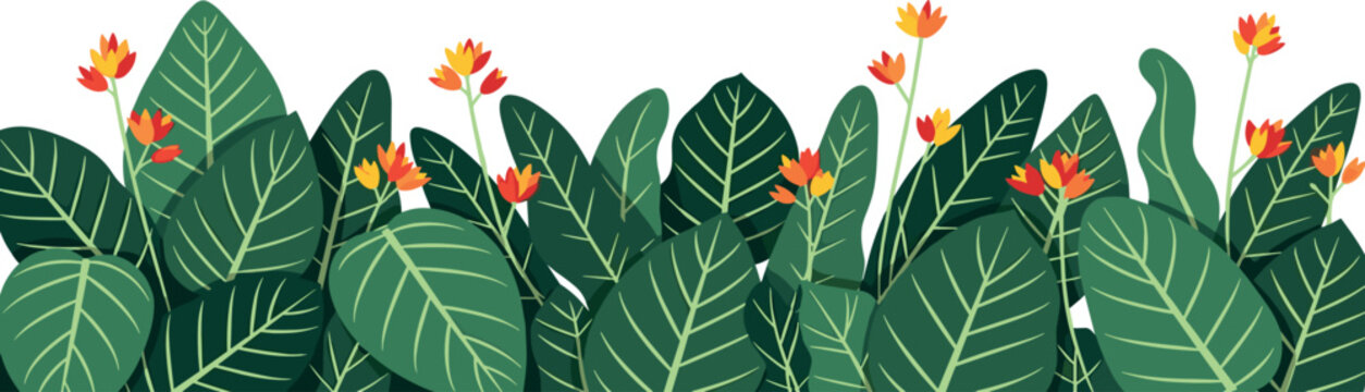 Horizontal banner illustration of exotic green plant leaves and small blooming tropical flowers, creating a fresh and vibrant botanical border