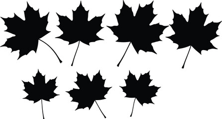 Maple leaf silhouettes, autumn foliage vector set, black leaf icons, seasonal nature illustration, fall design elements, isolated maple shapes