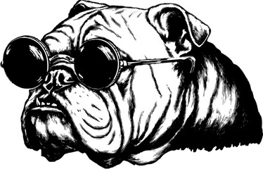 Bulldog in sunglasses silhouette engraving style. Vintage hand-drawn vector illustration featuring detailed outlines and retro elements.