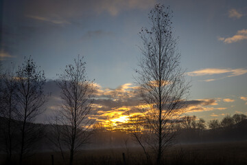 Wsch&oacute;d słońca z brzozami
