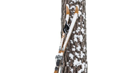 Vintage wooden skis leaning against snow-dusted tree