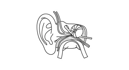 Financial management and economic prosperity concept represented by a sleek wallet filled with cash and coins, symbolizing wealth and successful monetary transactions