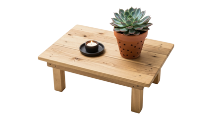Wooden table with potted succulent and candle display