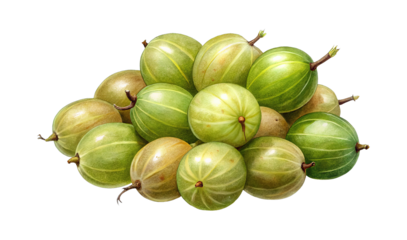 A heap of colorful gooseberries, detailed artwork against black background illustration