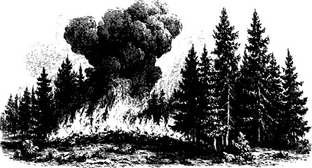 Engraving of a fire scene with swirling smoke and silhouetted trees. This vintage-style vector illustration captures nature in a striking black outline.