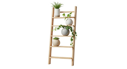 Wooden ladder shelf with indoor potted plants for home decor