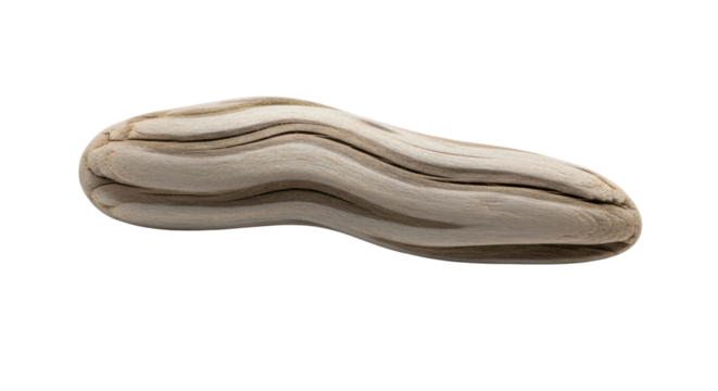 Smooth driftwood piece with natural curves and weathered surface