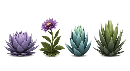 Four distinct succulent plants in a row showcasing vibrant purple teal and green hues against a white background