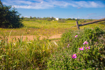 Torre Guaceto protected marine reserve