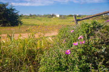 Torre Guaceto protected marine reserve