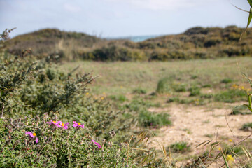 Torre Guaceto protected marine reserve