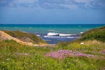 Torre Guaceto protected marine reserve